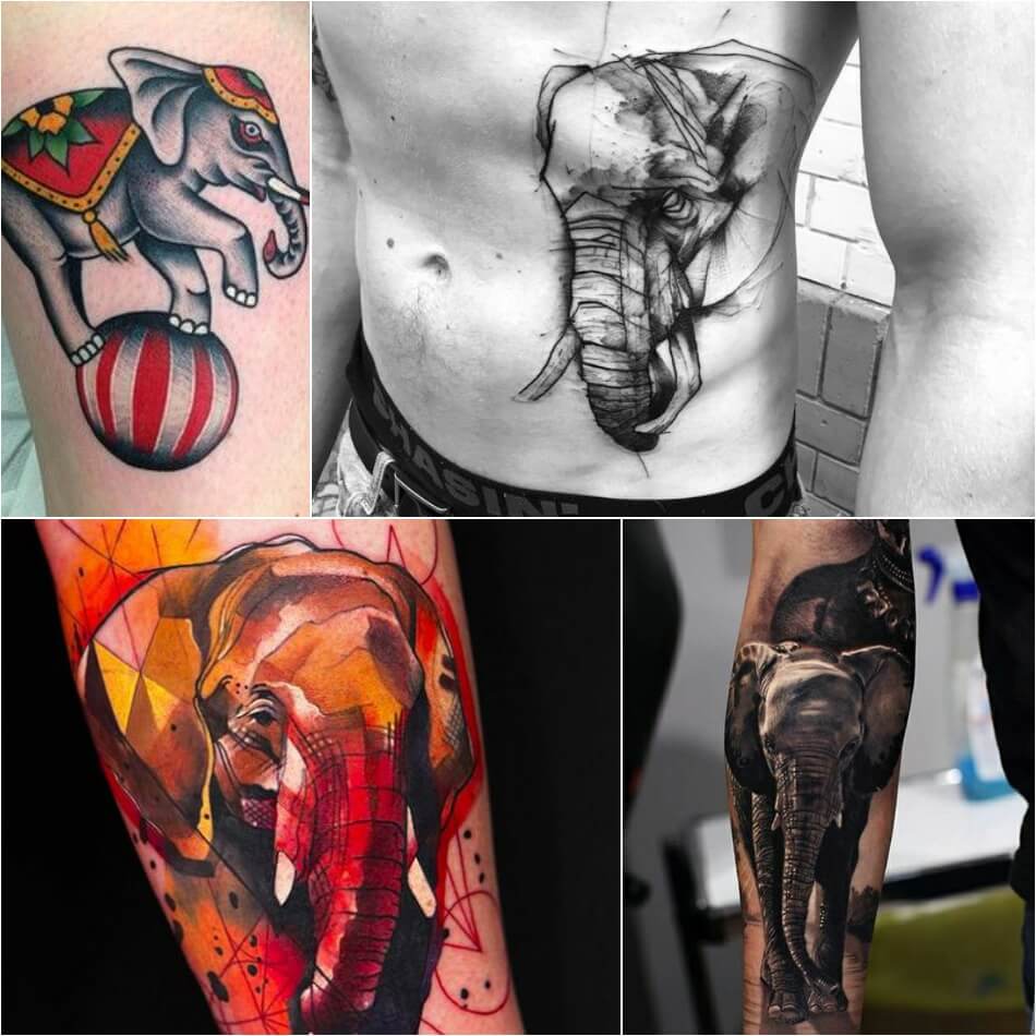 Мужские татуировки слон - Примеры и Эскизы - Тату слон для мужчин