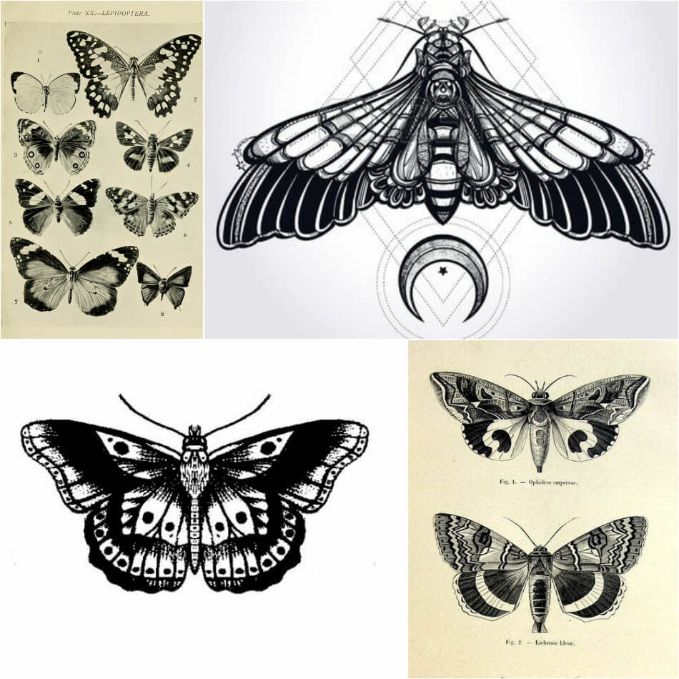 Тату бабочка - Эскизы тату бабочка - Эскизы татуировка бабочка