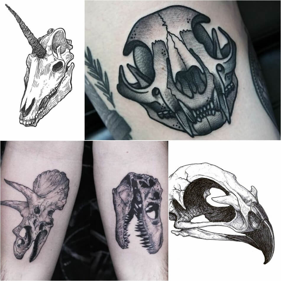 Тату череп - Тату черепа животных и птиц - Татуировка череп