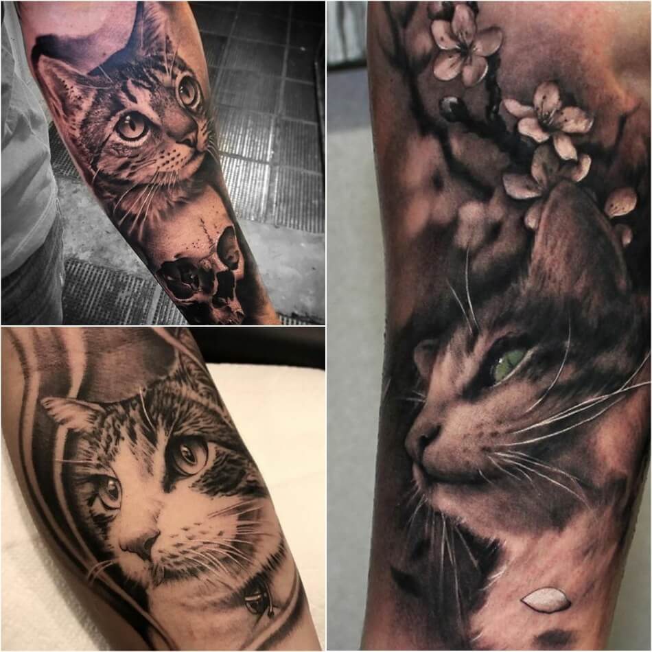 Тату кот - Тату кот мужские - Тату кот для мужчин - Татуировка кот 