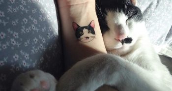 Тату кот - Татуировка кот - Тату кошка - Тату кот значение