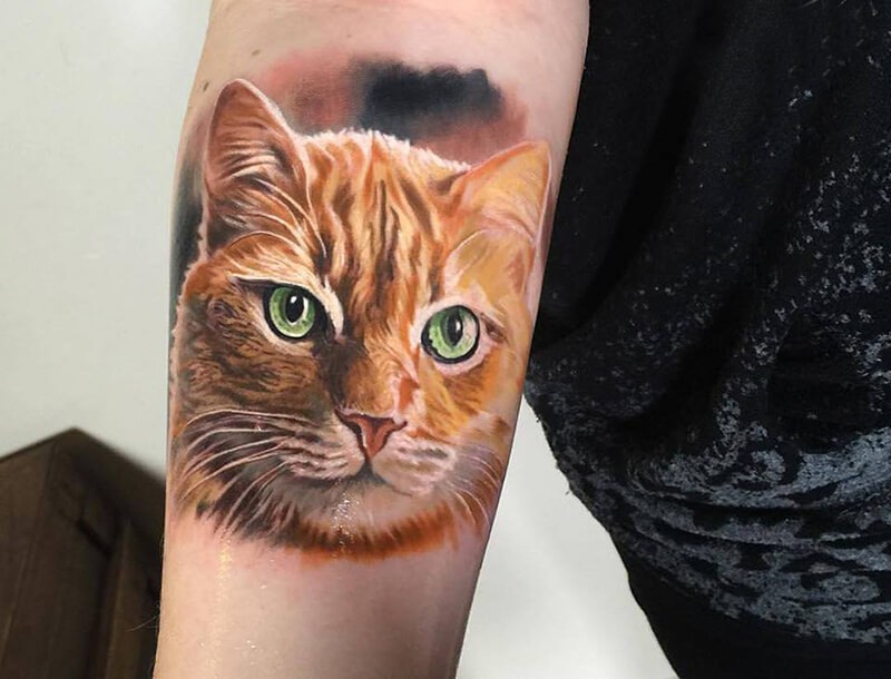 Тату кот реализм - Татуировка кот реализм - Тату кот - Тату рыжий кот