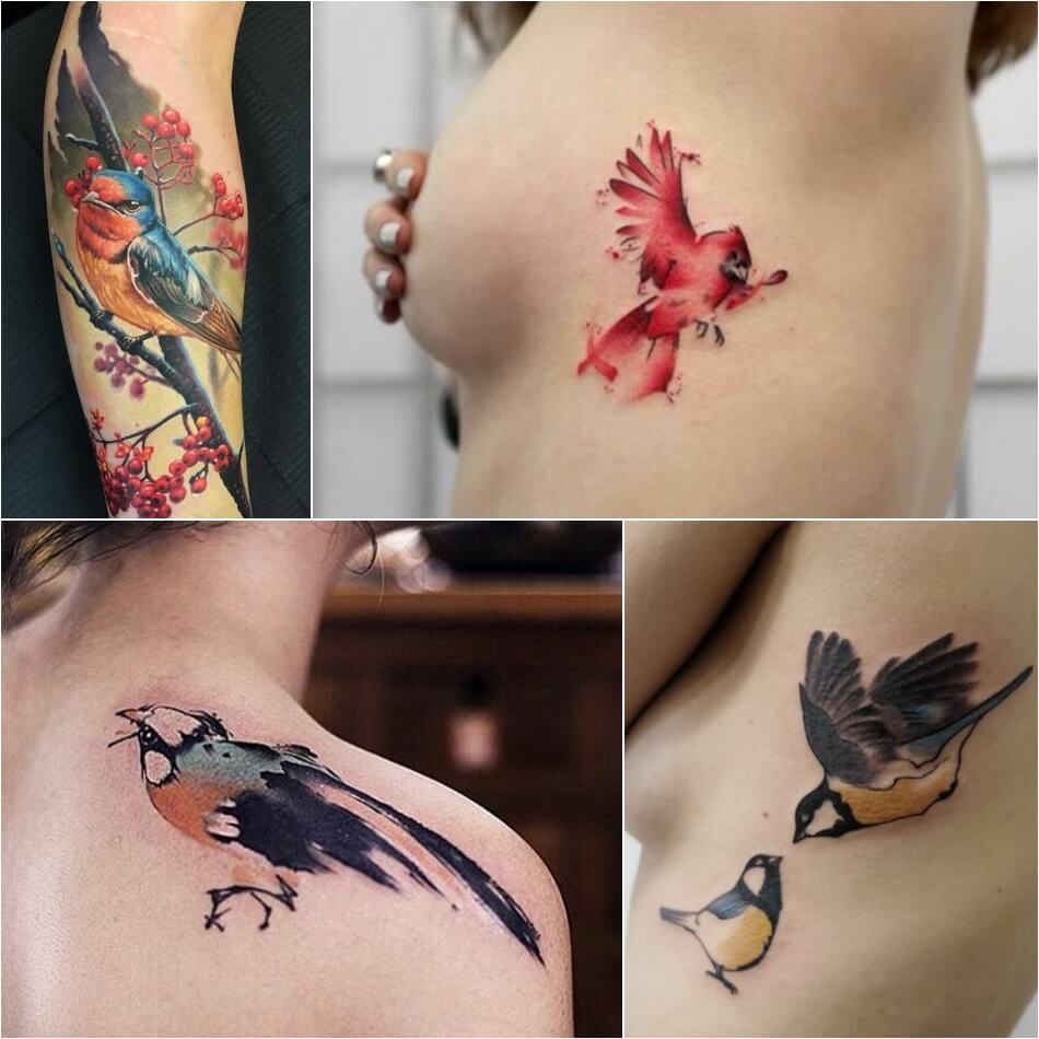 Татуировка птица цветная