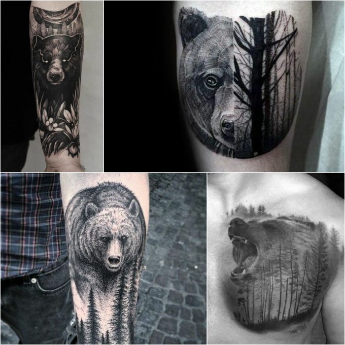 Тату медведь - Тату медведь и лес - Тату медведь в лесу 