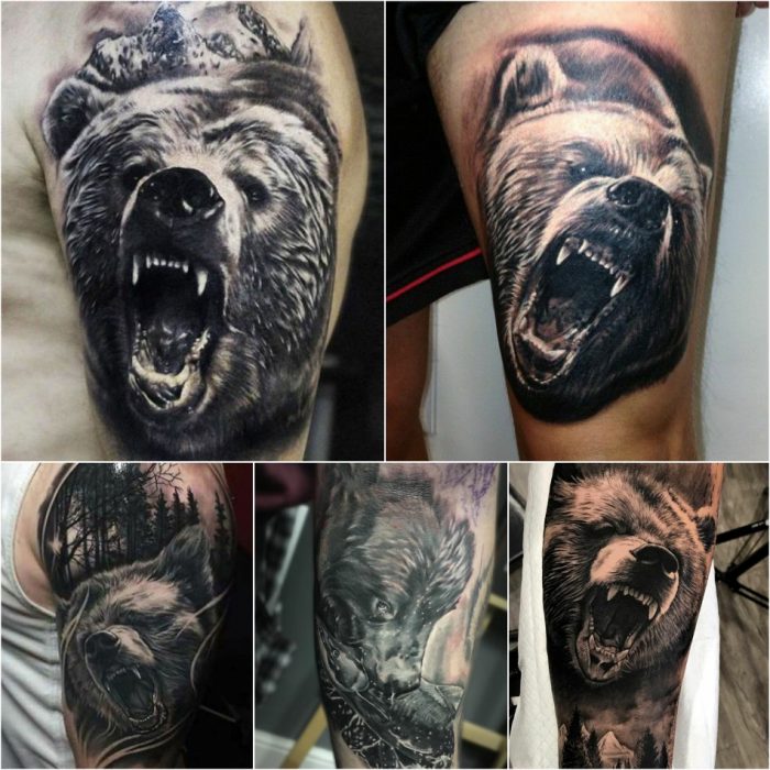 Тату медведь - Тату медведт реализм - Татуировка медведь реализм 