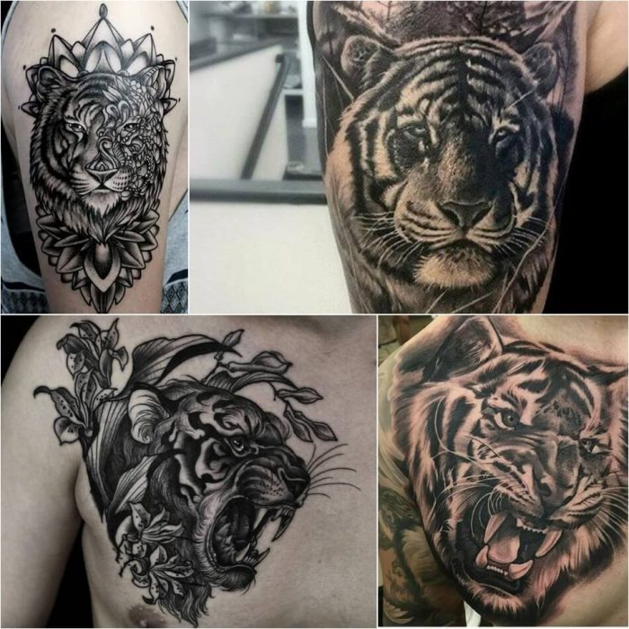 Тату тигр - Мужское тату тигр - татуировка тигр для мужчин 