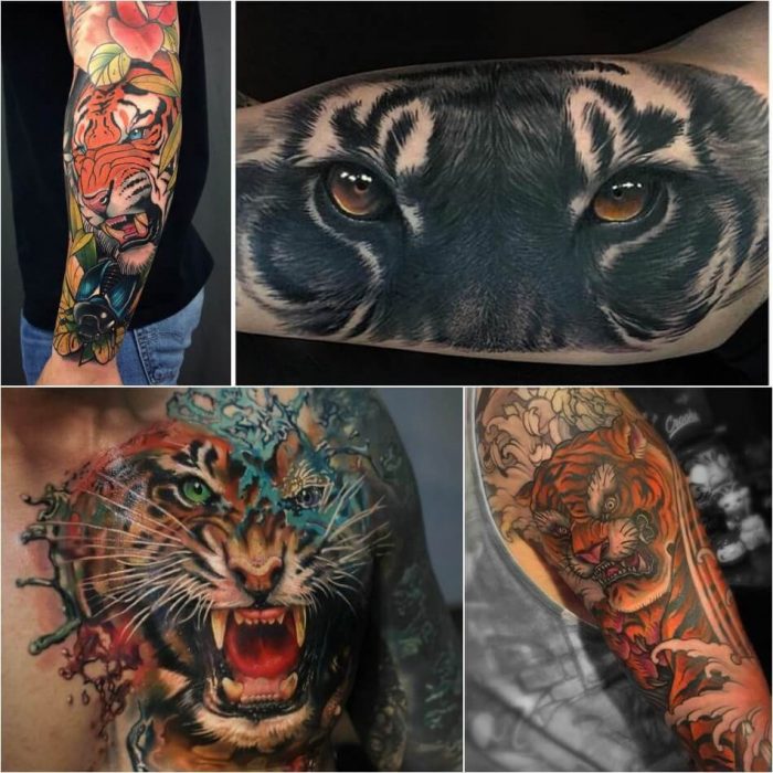 Тату тигр - Мужское тату тигр - татуировка тигр для мужчин 