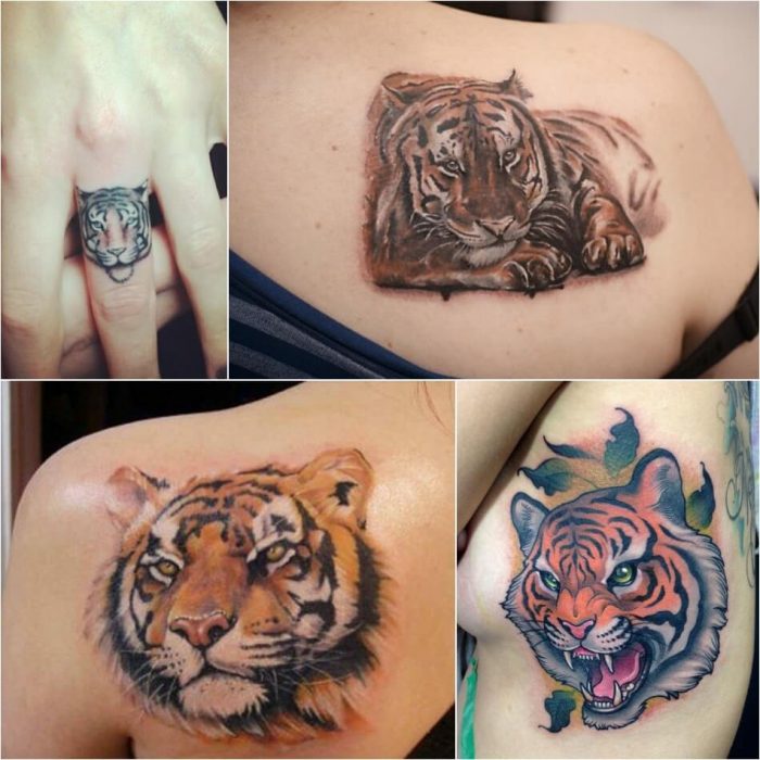 Тату тигр - Женские тату тигр - Татуировка тигр для девушек