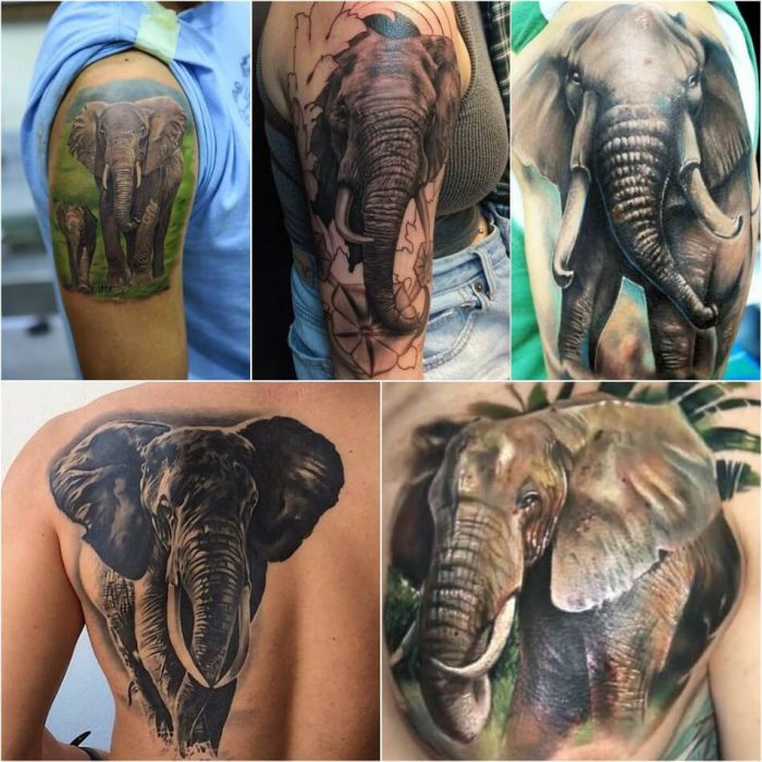 тату животные - тату слон - татуировка слон - тату с животными 